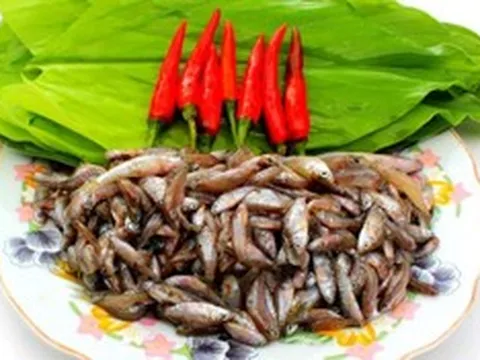 Loại cá "nhà nghèo" xưa ra đồng bắt về ăn, nay thành đặc sản ngon và hiếm giá 400.000 đồng/kg vẫn hút khách