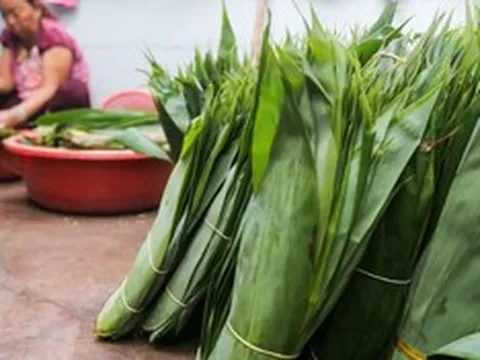 2 thứ bỏ đi ở Việt Nam, trời Tây có giá đắt đỏ, nhất cái số 1 ở quê rụng đầy vườn