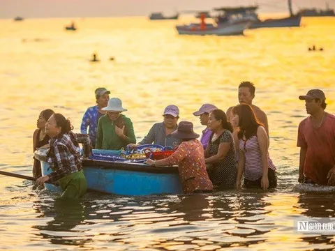 Ngư dân Đắk Lắk thu hàng triệu đồng sau đêm đánh cá cơm, phấn khởi vươn khơi bám biển
