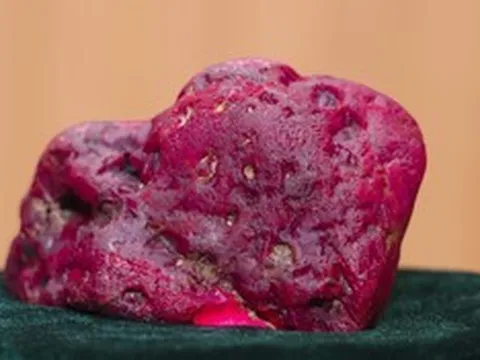 Thợ mỏ đào trúng hồng ngọc “khủng” nặng 2.2kg, giới đá quý toàn cầu chấn động