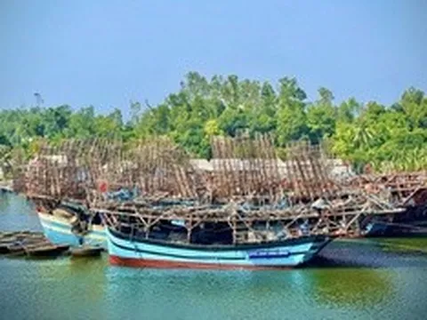 Tàu đầy ắp hải sản nhưng ngư dân Quảng Ngãi vẫn phải "gửi nhờ" cảng ngoài tỉnh