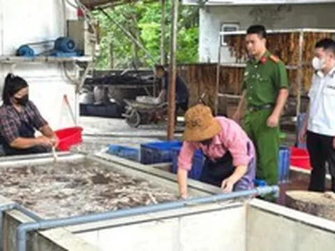 Phát hiện hơn 3 tấn lòng lợn thối chuẩn bị tiêu thụ tại Bắc Ninh