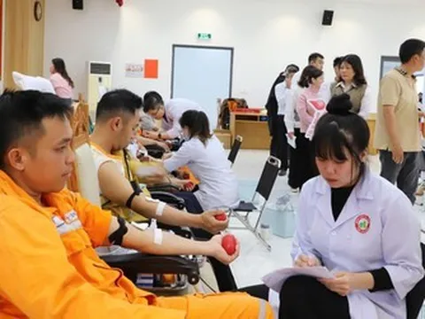 Tuổi trẻ Công ty Điện lực Lâm Đồng sôi nổi phong trào, khẳng định tinh thần xung kích