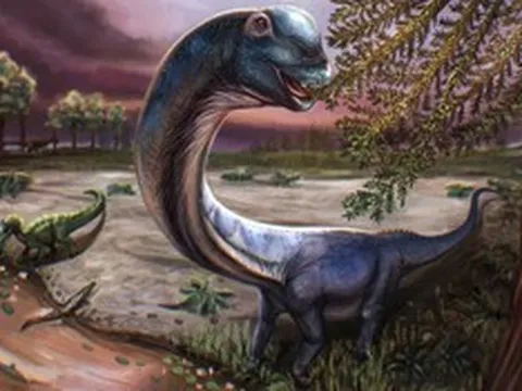Phát hiện "quái vật lớn nhất Đông Nam Á", nặng đến 28 tấn, chân to như cột đình