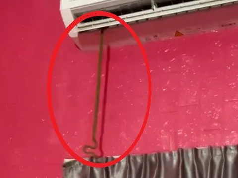 Đang chợp mắt giữa trưa, người đàn phát hiện cảnh tượng "đáng sợ" ngay trong nhà