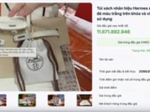 Đấu giá thành công 2 túi Hermès bạch tạng của Trương Mỹ Lan, thu hơn 14 tỷ đồng