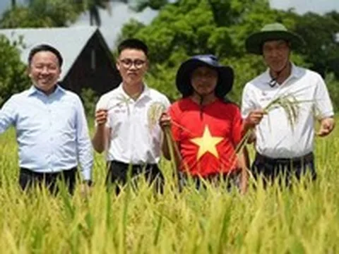 Vượt nửa vòng Trái đất đến Cuba: Kỹ sư Việt bắt tay làm ngay 1 việc, kỳ tích xuất hiện vào tháng 5/2026