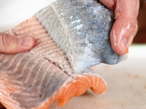 3 bộ phận của cá có thể chứa "độc tố", cái số 1 quá quen thuộc