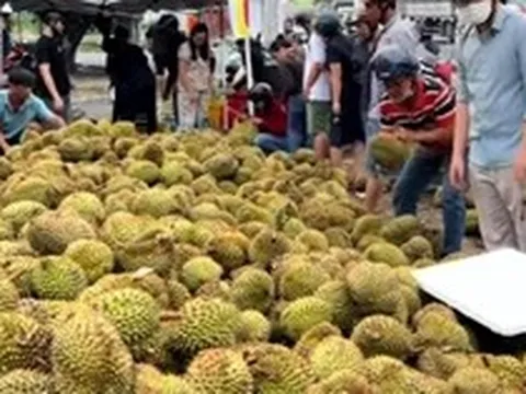 Mua sầu riêng non 'giải cứu' ven đường ở TP.HCM, người tiêu dùng lãnh đủ