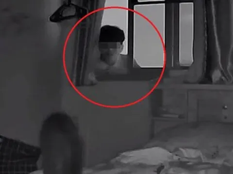 Vừa trở về nhà, cô gái bỗng phát hiện cảnh tượng “nổi da gà” nhờ hai chú mèo cưng