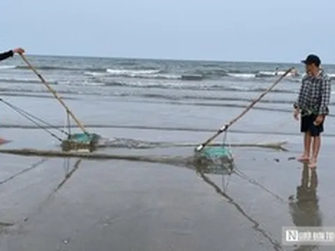 Ngư dân chạy đua với thuỷ triều, cào “lộc trời” kiếm tiền triệu mỗi ngày