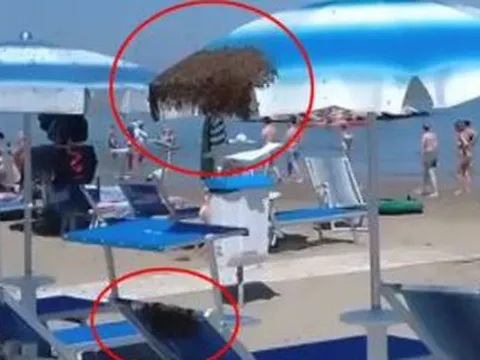Đang tắm biển, du khách hoảng loạn bỏ chạy khi thấy cảnh "đáng sợ" trên chiếc ô