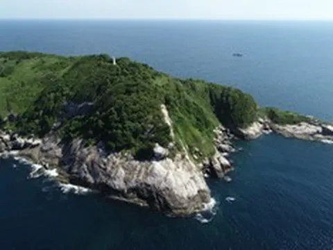 Hòn đảo đẹp như tranh nhưng không ai dám đến vì hàng nghìn "sinh vật đáng sợ"