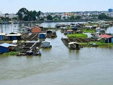 Đồng Nai “khai tử” hàng nghìn lồng bè giữa lòng đô thị