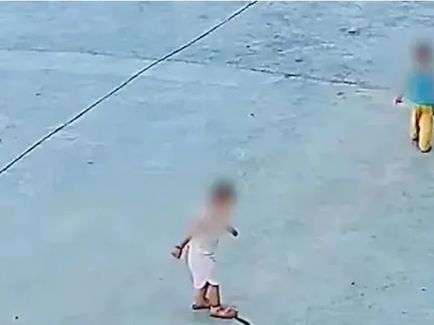 Hai đứa trẻ vô tình giẫm trúng rắn hổ mang và cái kết