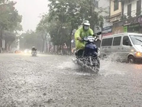 Dự báo thời tiết 31/7/2026: Miền Bắc liên tiếp hứng mưa dông, nhiều nơi có nguy cơ mưa rất to