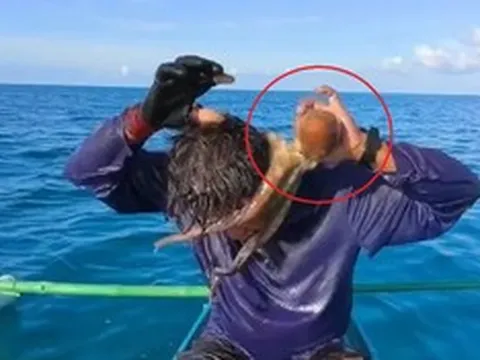Đi đánh lưới cá, ngư dân gặp cảnh "đáng sợ"