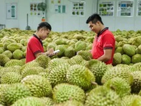 Xuất khẩu sầu riêng có thể cán mốc 4 tỷ USD trong năm 2026