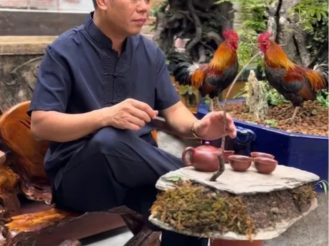 Doanh nhân bỏ phố về quê mang cuộc sống dân dã trong biệt phủ