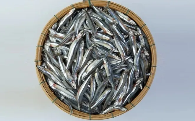 3 loại cá "tốt hơn cả cá hồi", ở chợ Việt vừa nhiều vừa rẻ nhất cái số 1