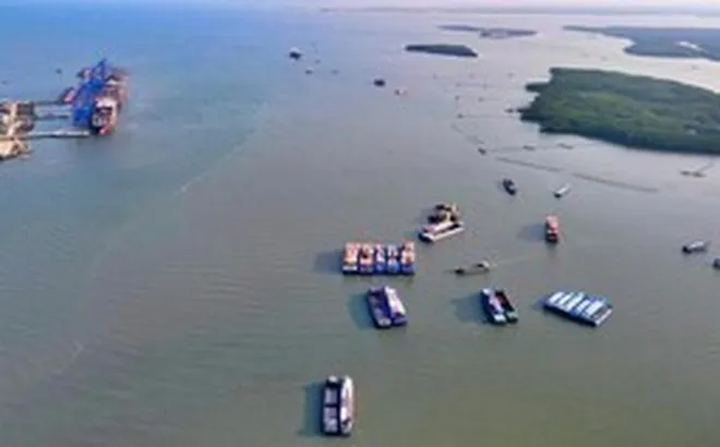 Cận cảnh siêu cảng quốc tế vừa được TP.HCM trao quyết định chấp thuận nhà đầu tư